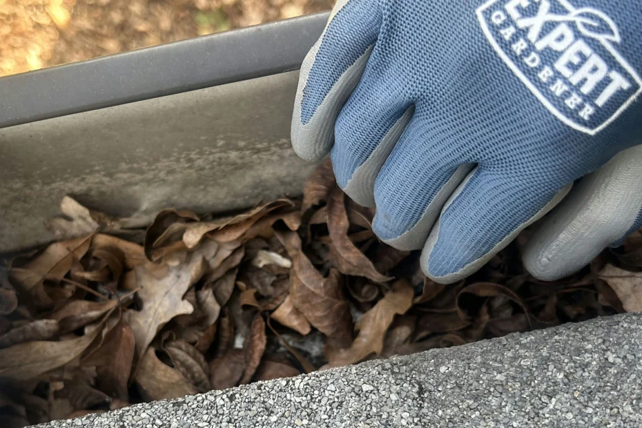 Gutter Cleaning Grey Forest TX