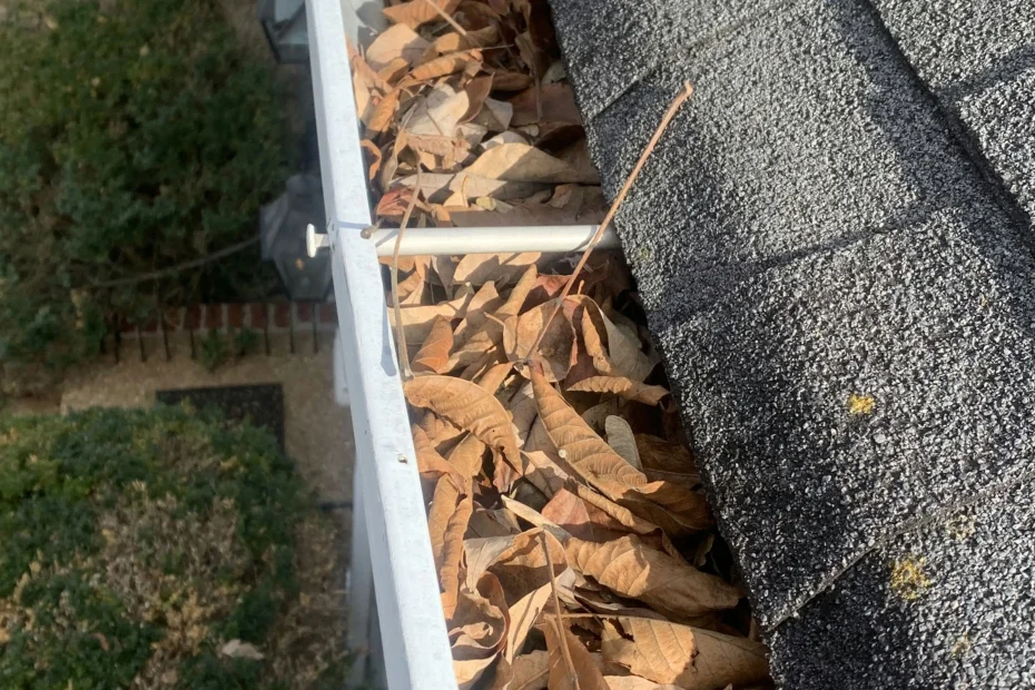 Gutter Cleaning Grey Forest TX