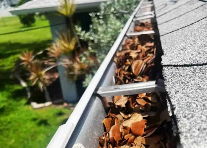 Gutter Cleaning Grey Forest TX home page